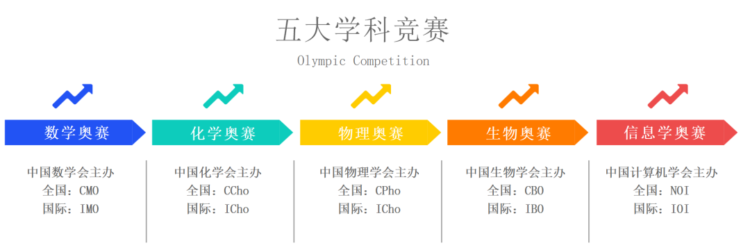 信奥赛