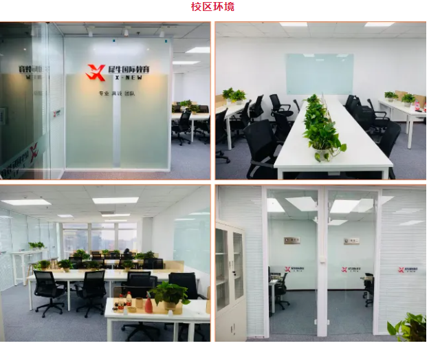 AP辅导班