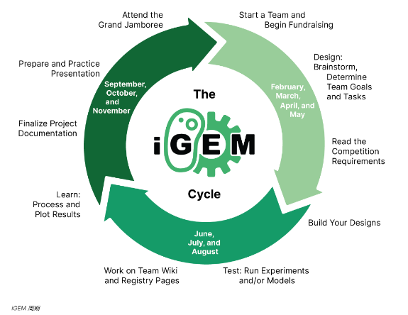 iGEM