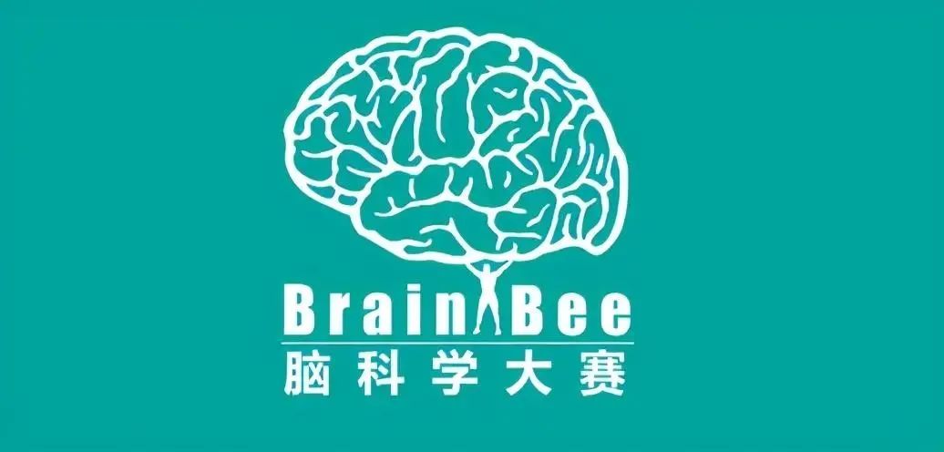 Brain Bee