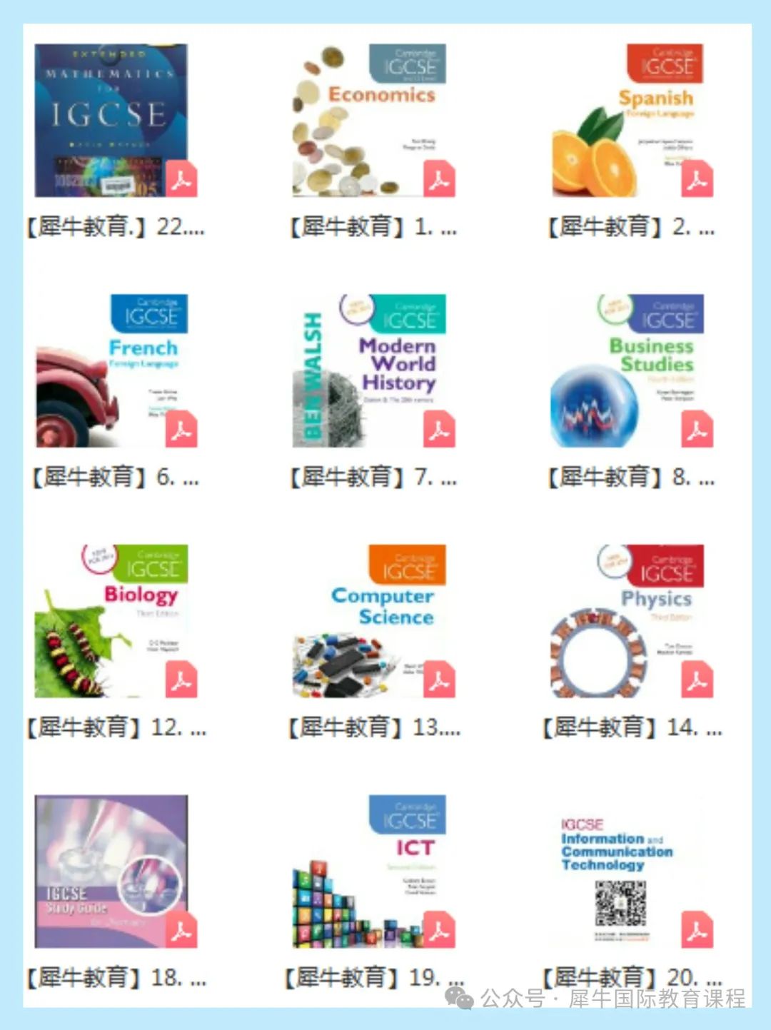 IGCSE课程