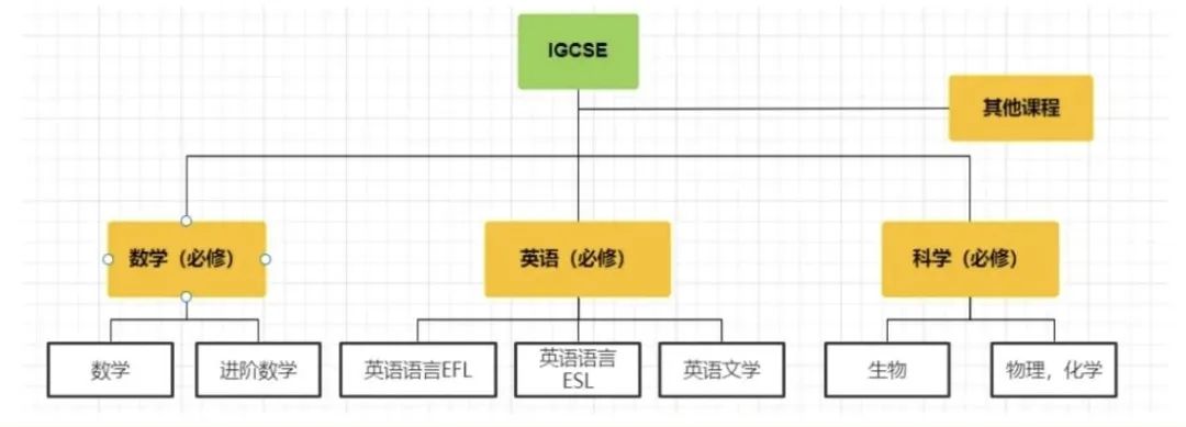 IGCSE课程