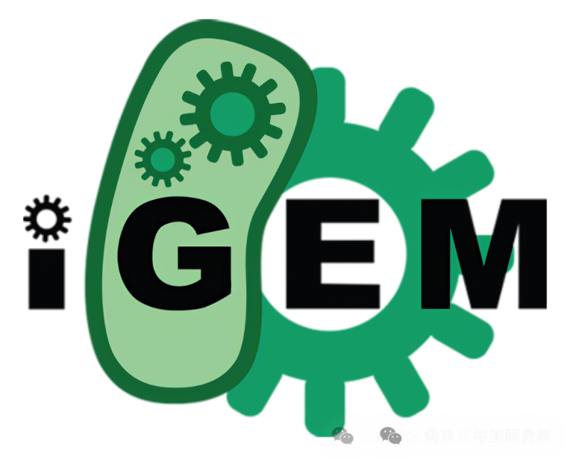 iGEM生物竞赛
