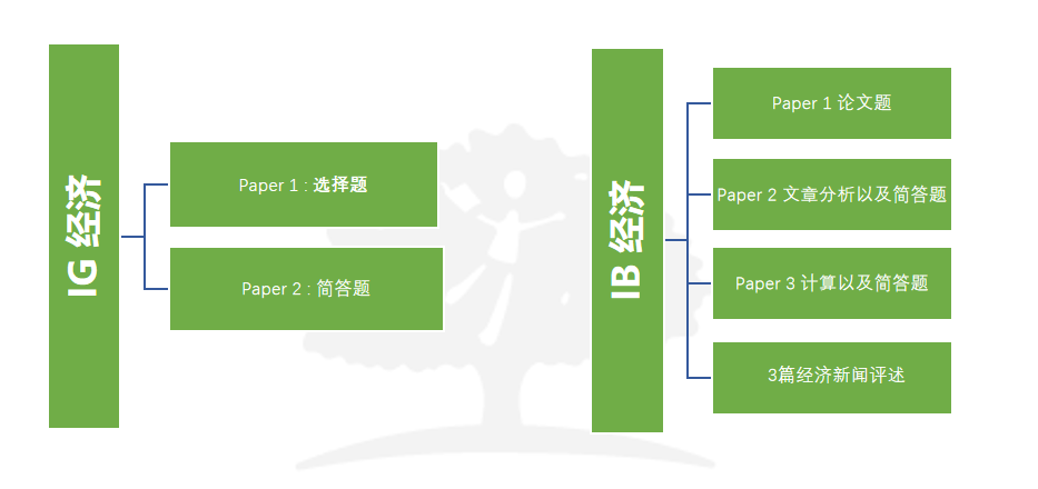 IB 课程