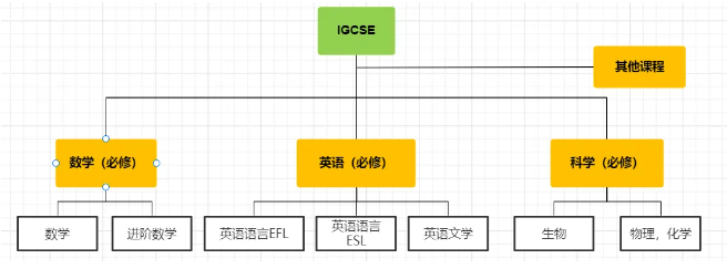 IGCSE课程