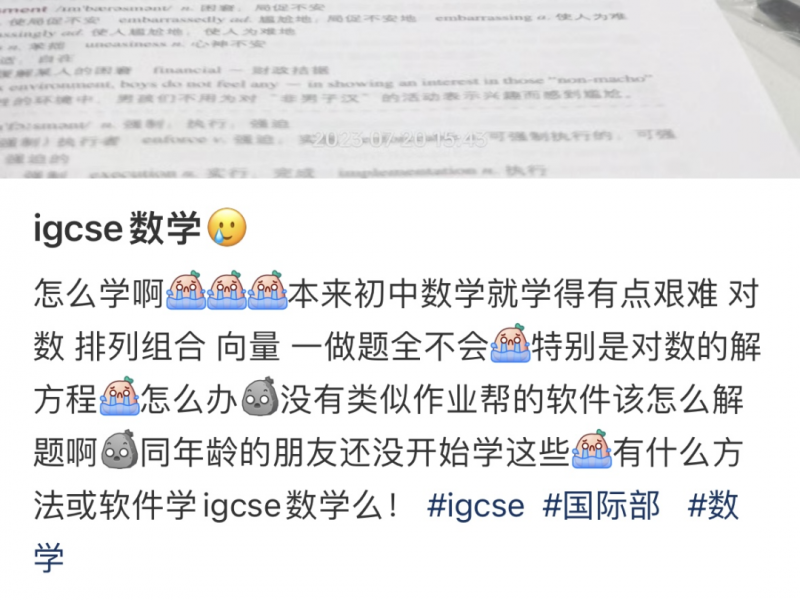 igcse课程衔接班