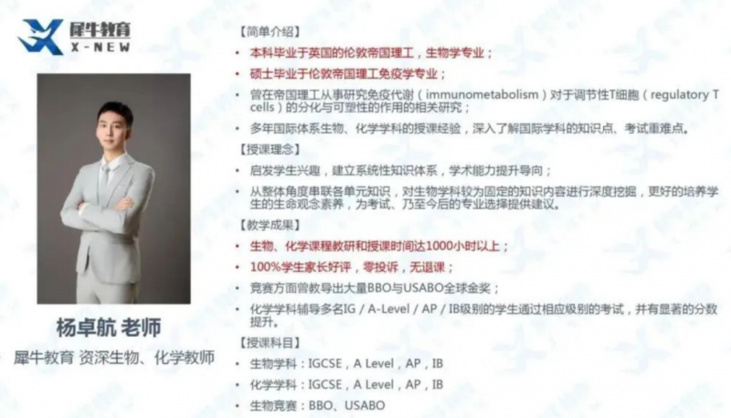 IB课程