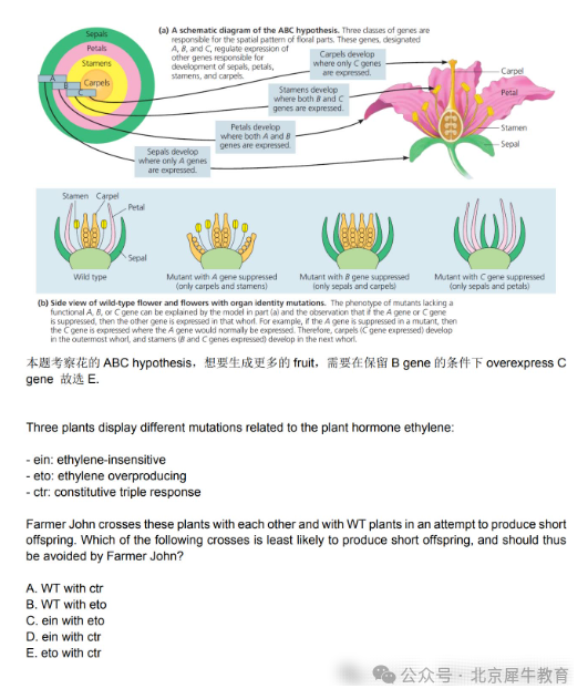 BBO生物竞赛