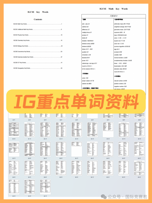 IGCSE课程