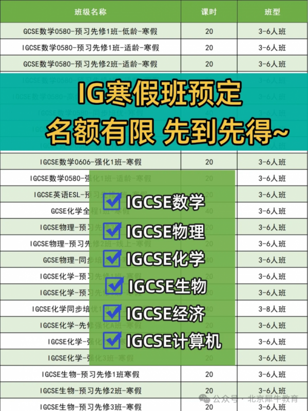 IGCSE课程