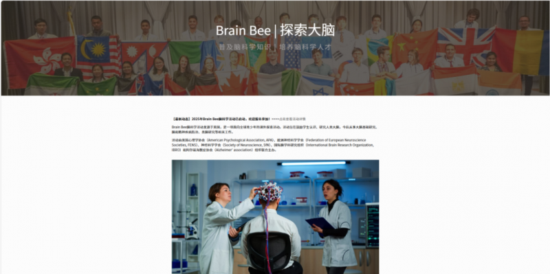 brainbee