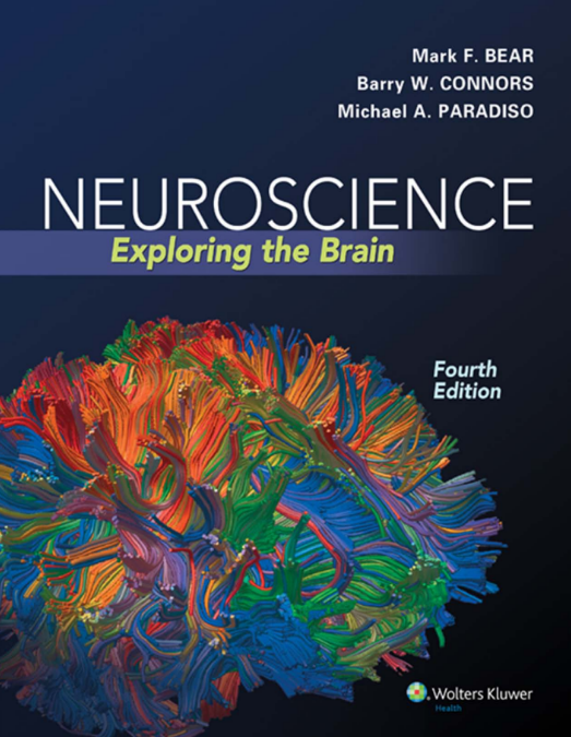 Brain Bee脑科学大赛