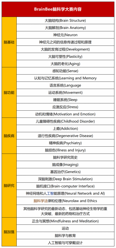 Brainbee脑科学