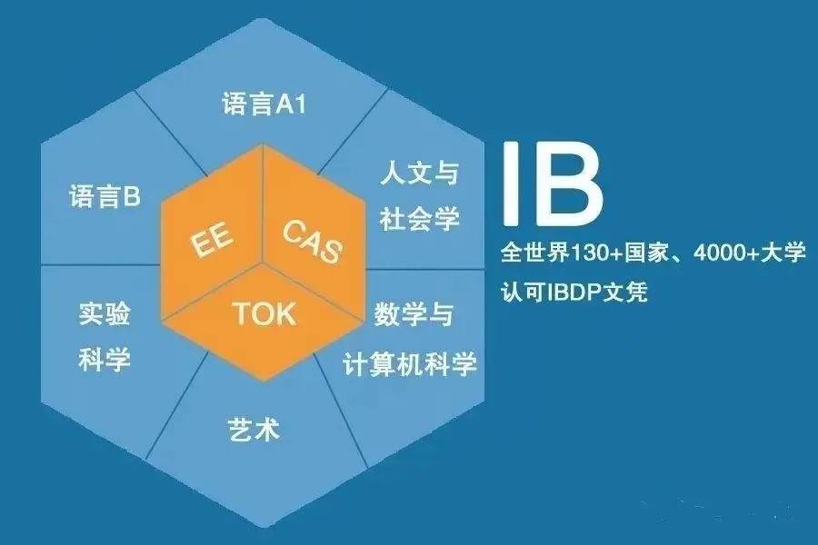 IB课程 