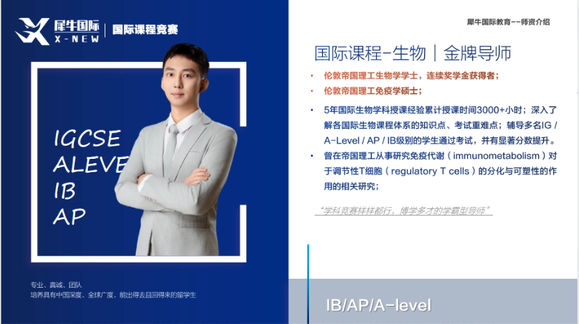 IB课程