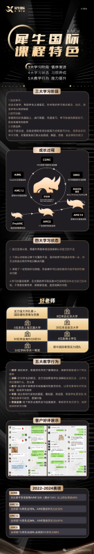 IB课程