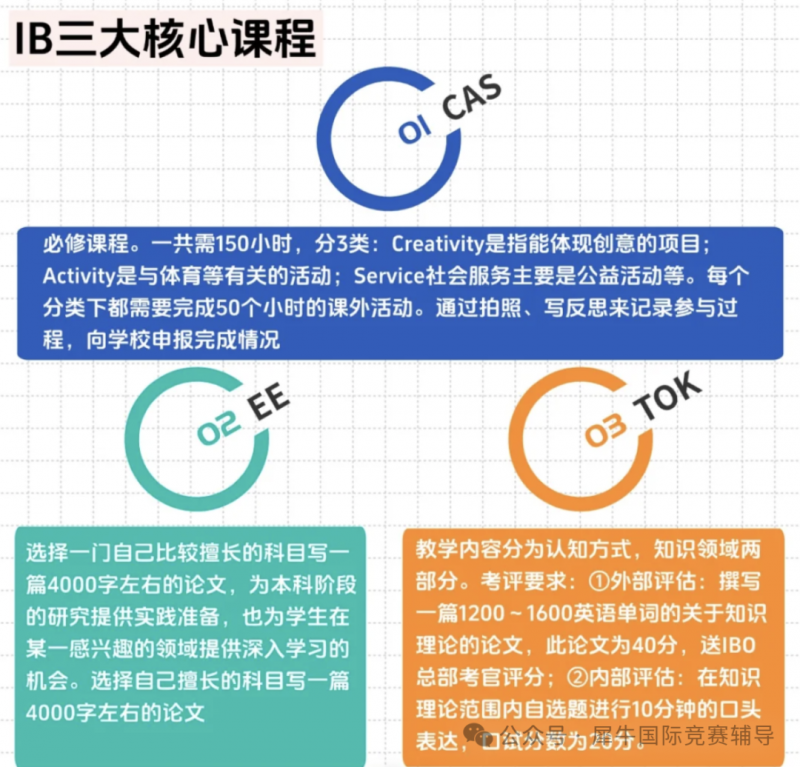 IB课程