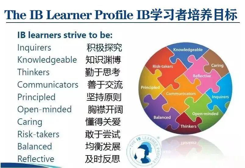 https://www.x-new.cn/zhuanti/ib/