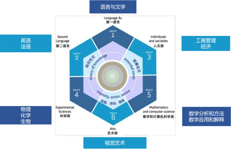 https://www.x-new.cn/zhuanti/ib/