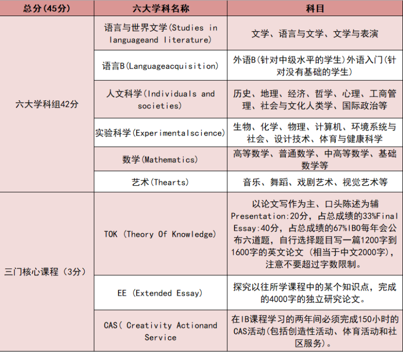 https://www.x-new.cn/#