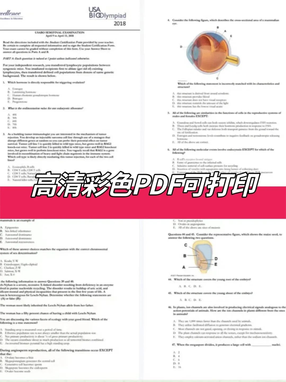 生物竞赛界双翘楚！USABO＋BBO近30套真题放送_4_Andy学长竞赛留学_来自小红书网页版.jpg
