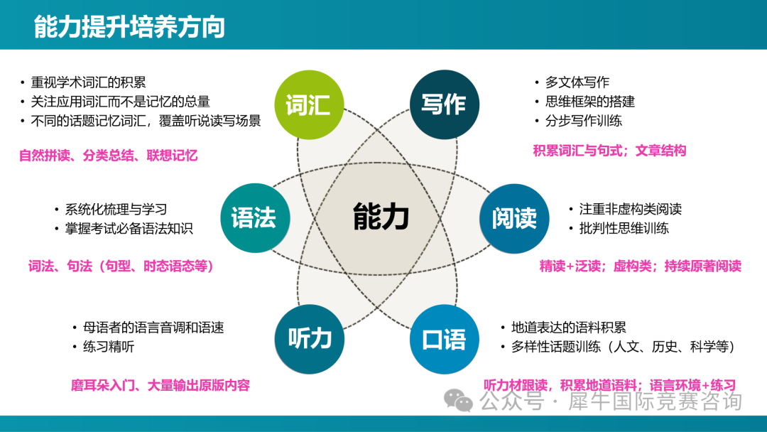 https://www.x-new.cn/#
