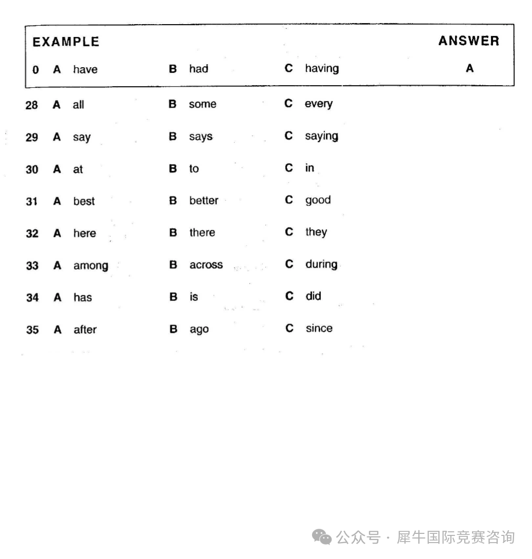 https://www.x-new.cn/#