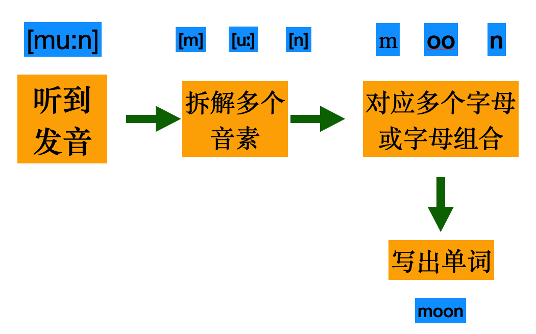 https://www.x-new.cn/