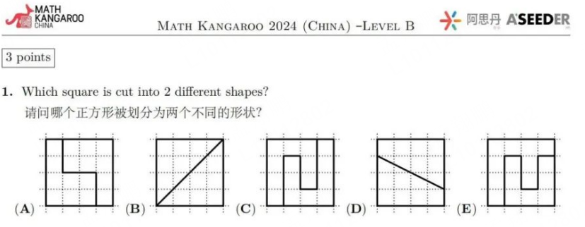 袋鼠数学竞赛