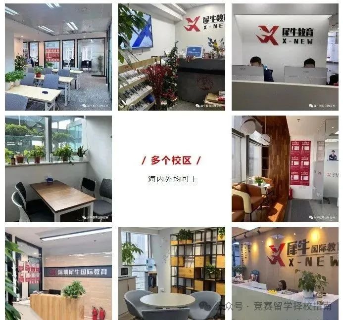袋鼠数学