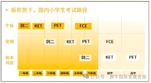 https://www.x-new.cn/#