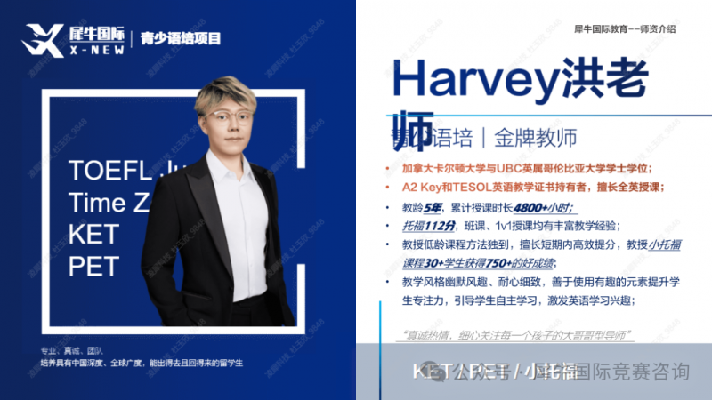 https://www.x-new.cn/#