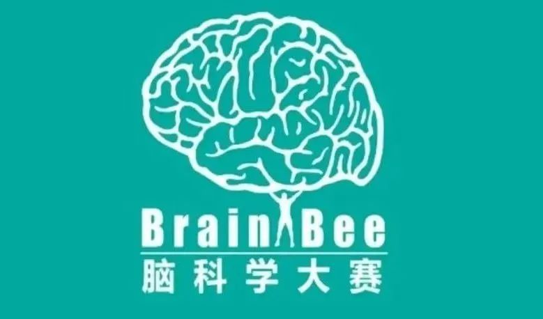 Brain Bee