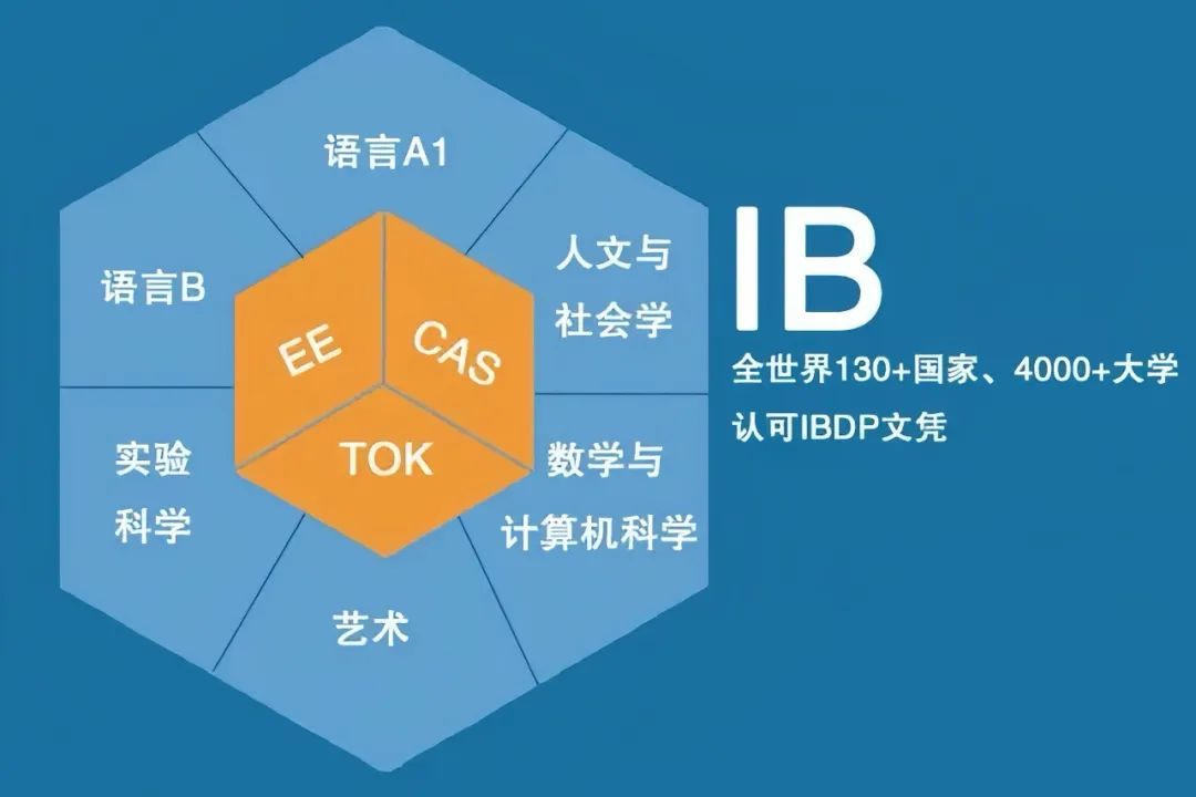 https://www.x-new.cn/zhuanti/ib/