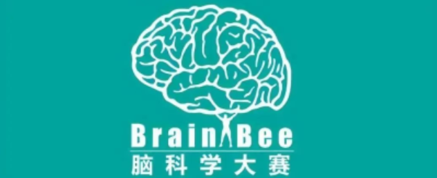 Brainbee脑科学竞赛