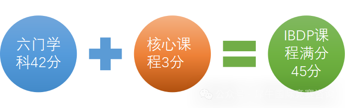 https://www.x-new.cn/zhuanti/ib/