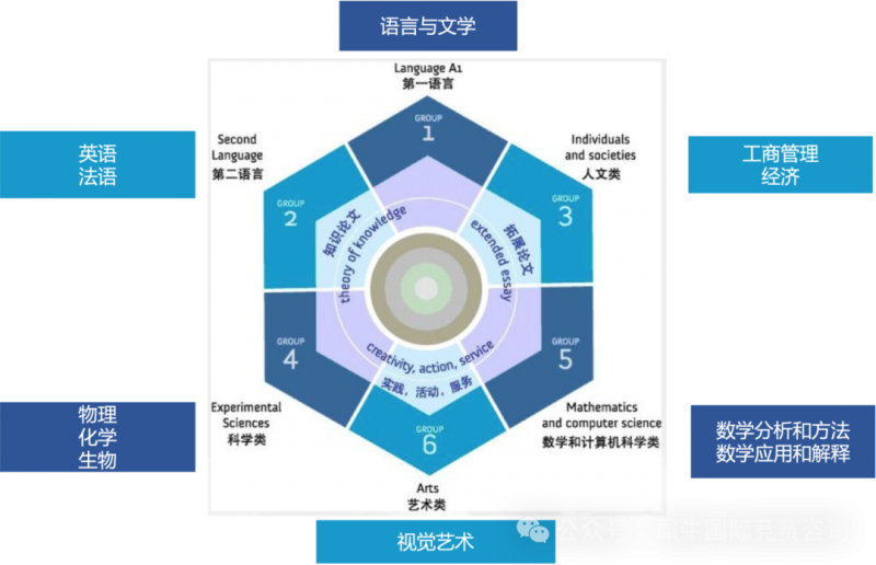 https://www.x-new.cn/zhuanti/ib/