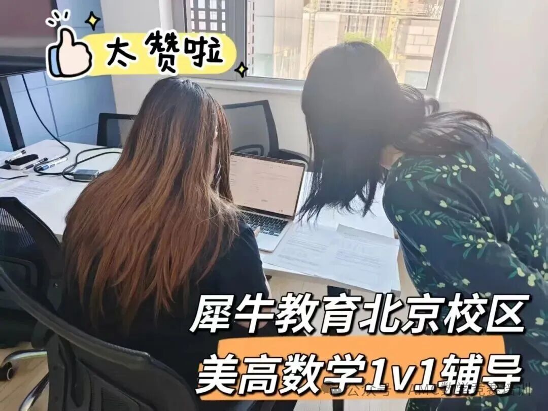 IB课程