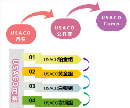 https://www.x-new.cn/