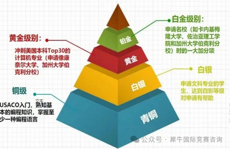 https://www.x-new.cn/