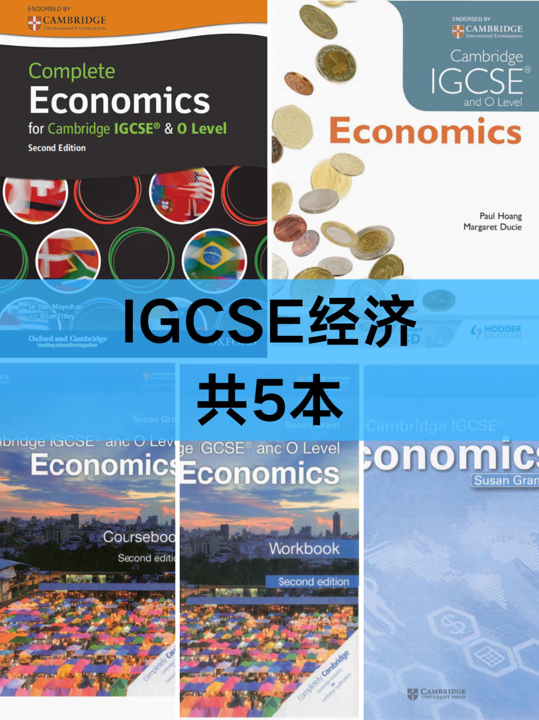 https://www.x-new.cn/