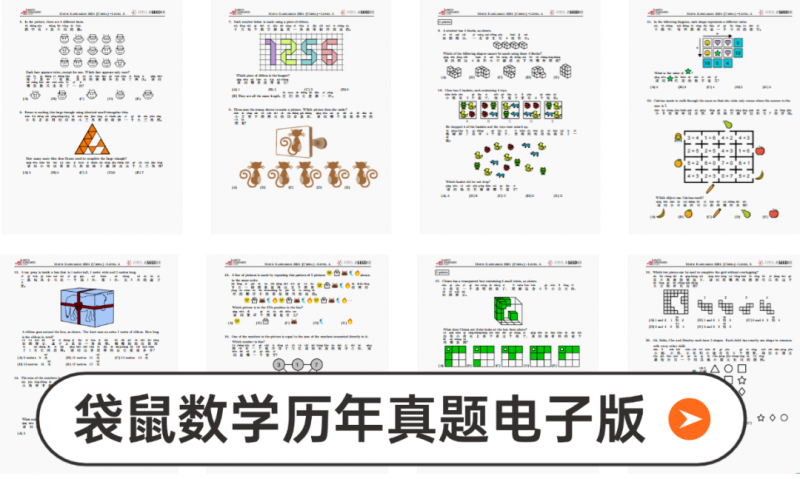 袋鼠数学竞赛