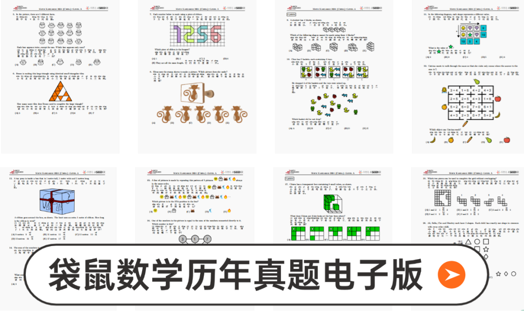 袋鼠数学竞赛