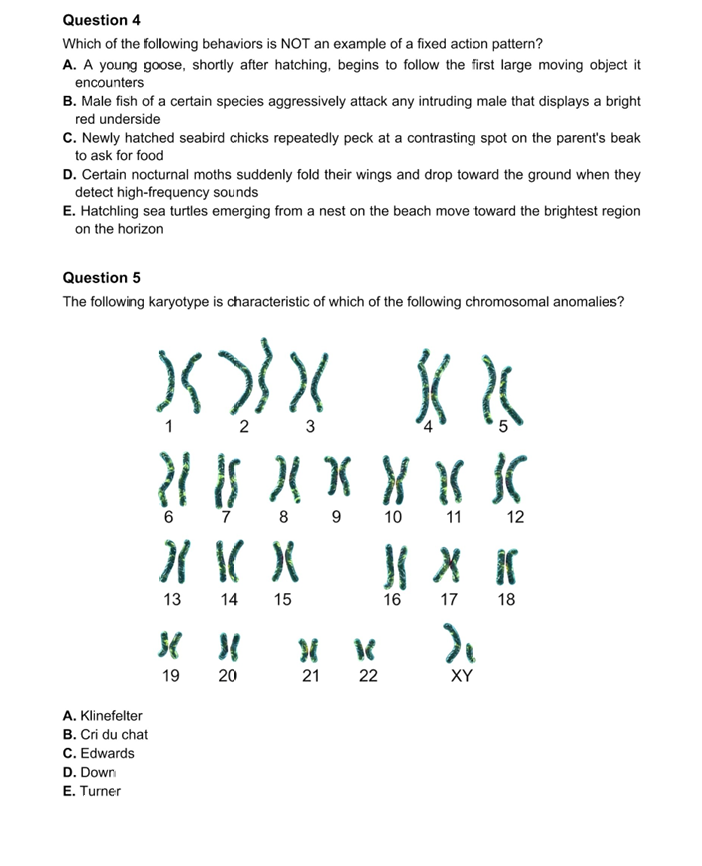 犀牛国际教育