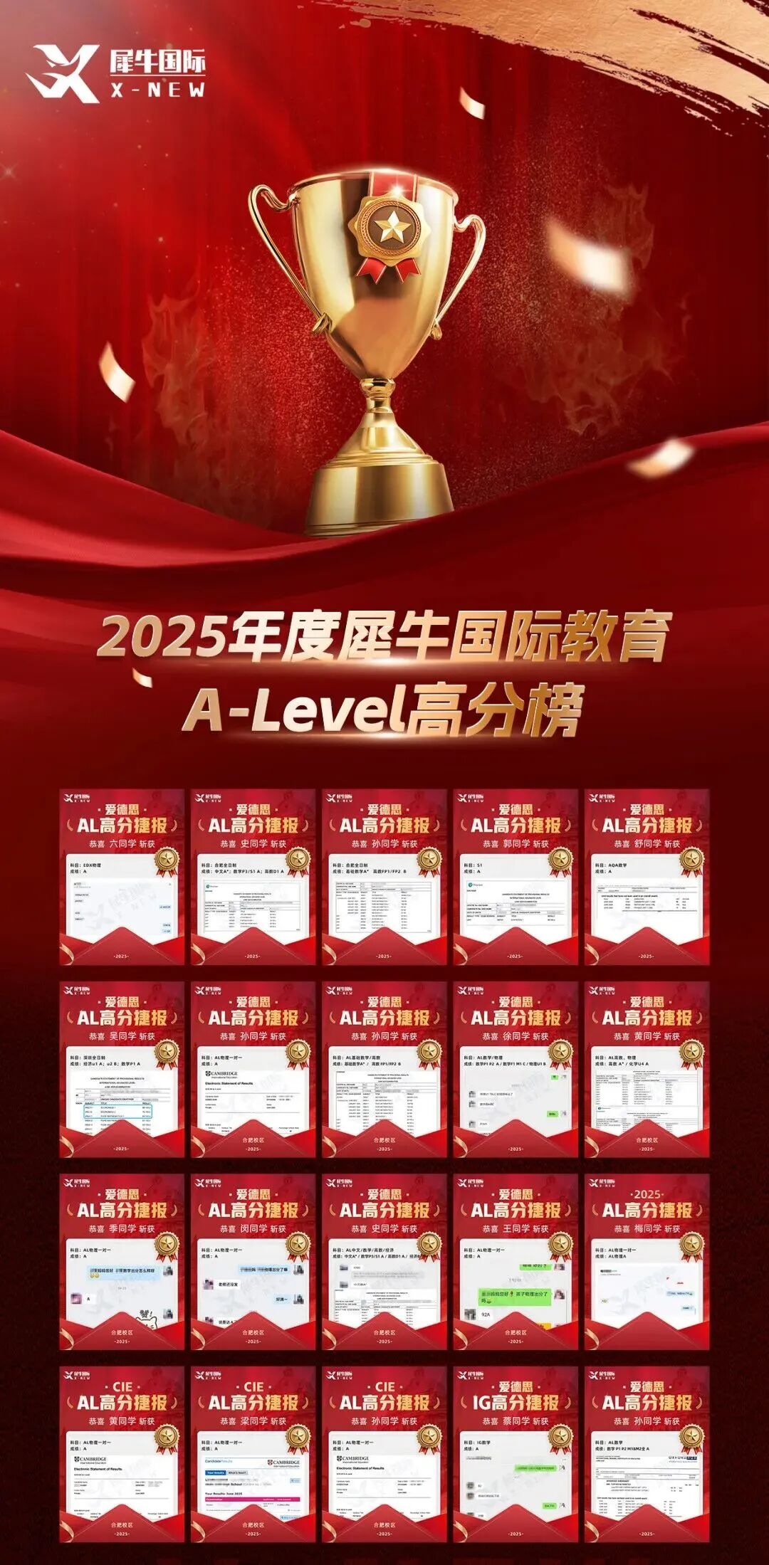 alevel培训辅导