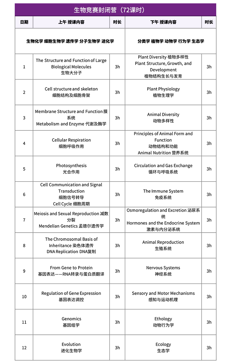 犀牛国际教育