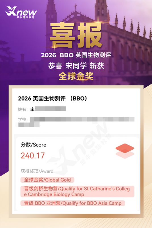 犀牛国际教育