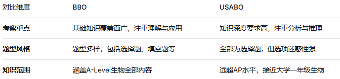 犀牛国际教育