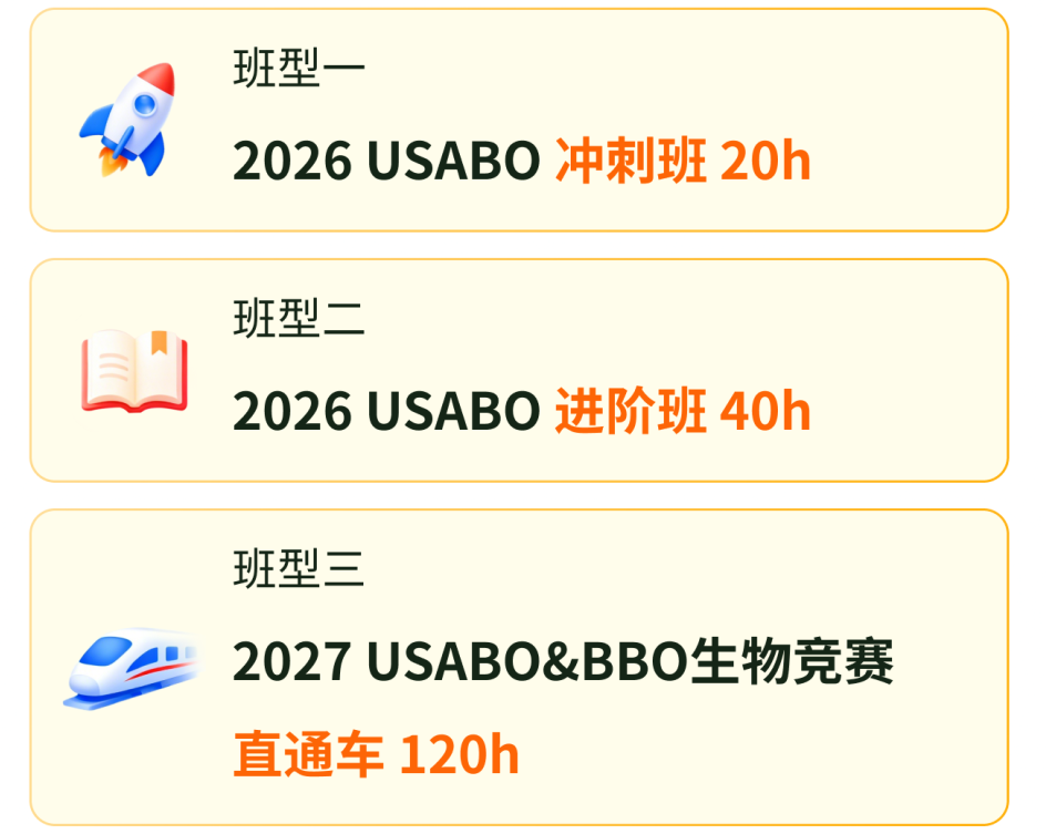 犀牛国际教育