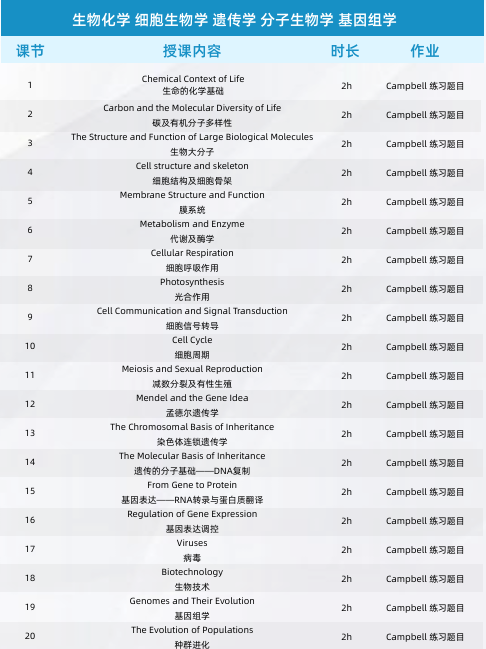 犀牛国际教育